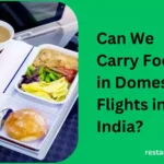 Can We Carry Food in Domestic Flights in India?
