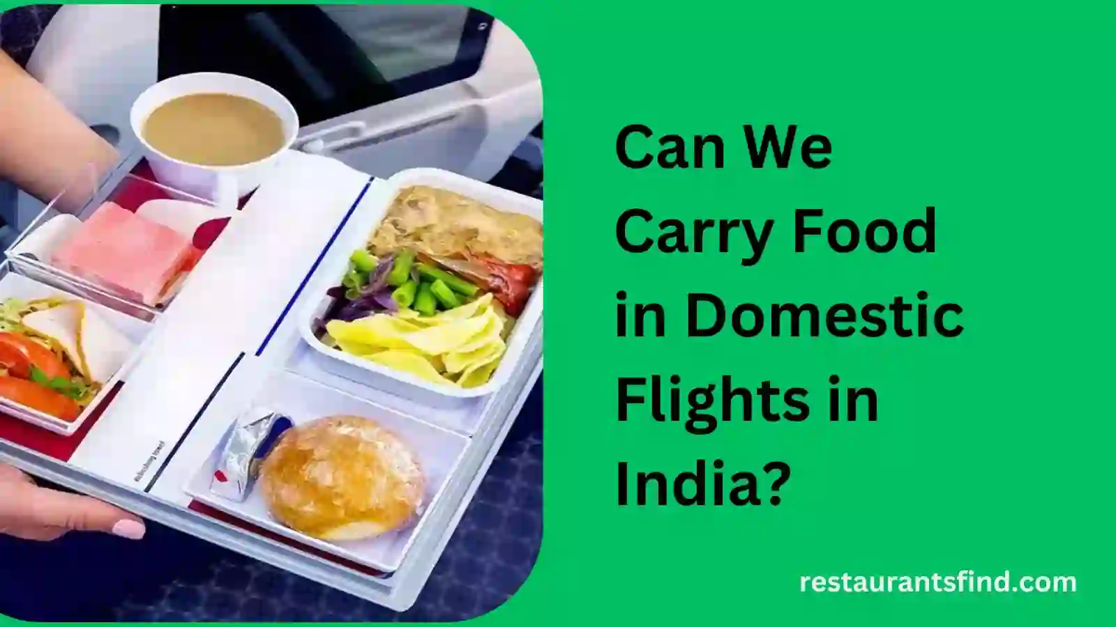 Can We Carry Food in Domestic Flights in India