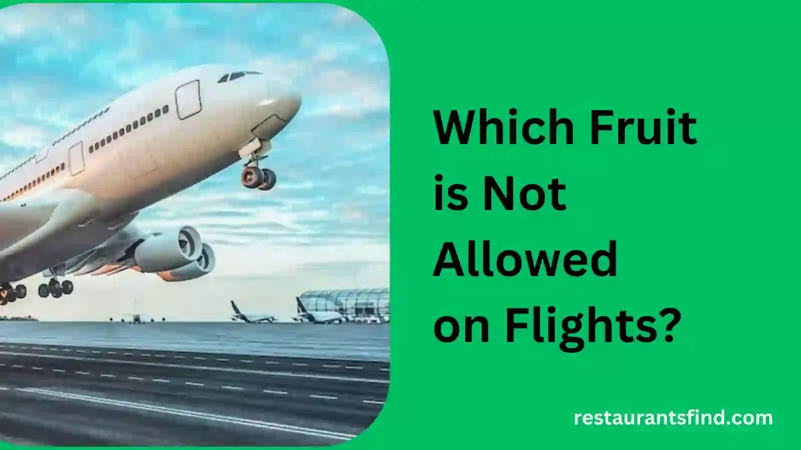 Which Fruit is Not Allowed on Flights