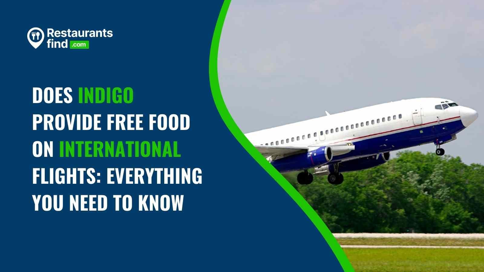 Does IndiGo Provide Free Food on International Flights